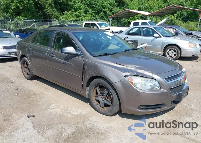 1G1ZB5E01CF329307: 38088427