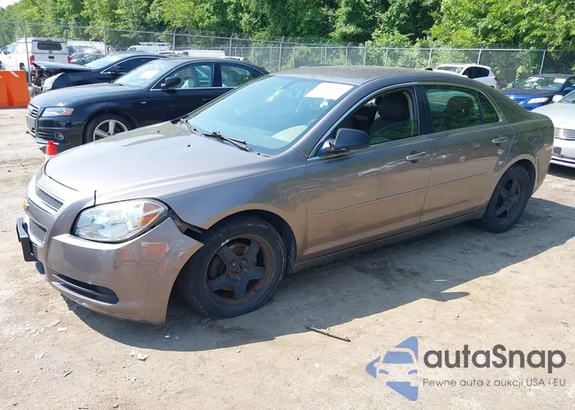 1G1ZB5E01CF329307: 38088427