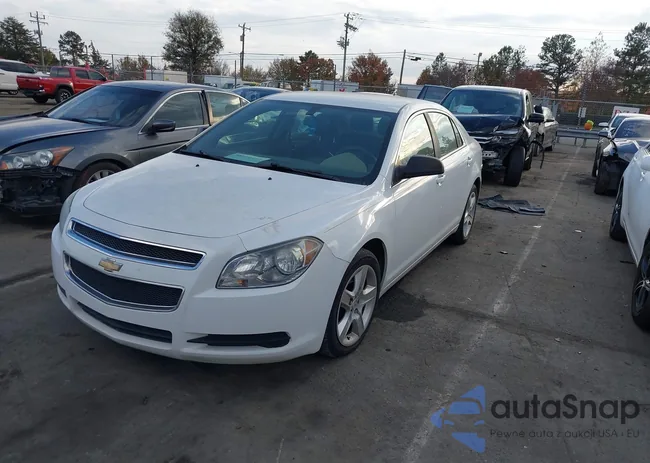 1G1ZB5E10BF388551: 38116214