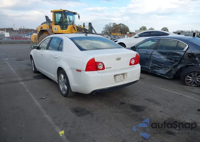 1G1ZB5E10BF388551: 38116214