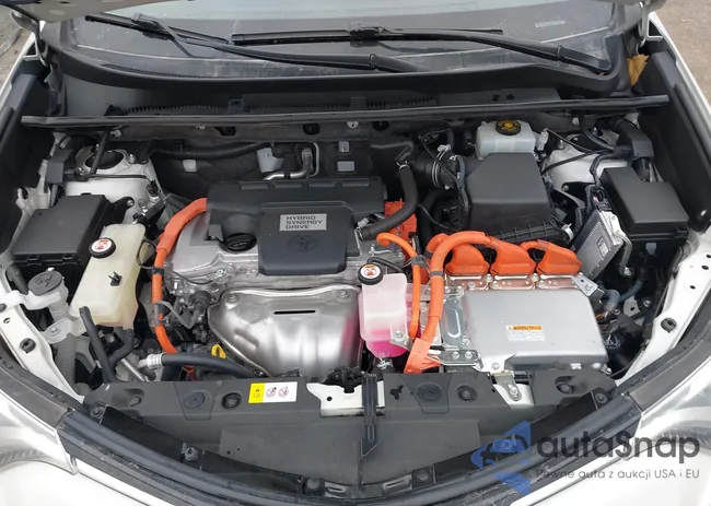 JTMDJREV5HD088751: 38142843