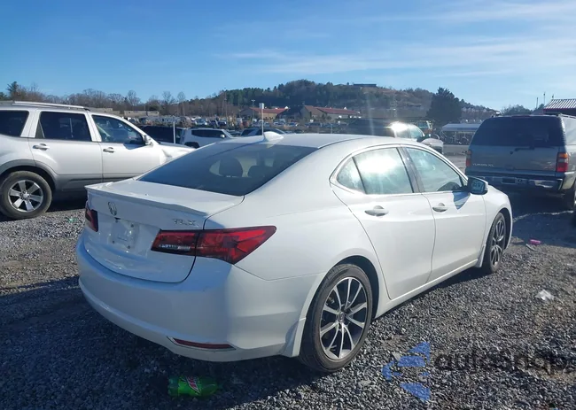 19UUB2F59GA006833: 38150617