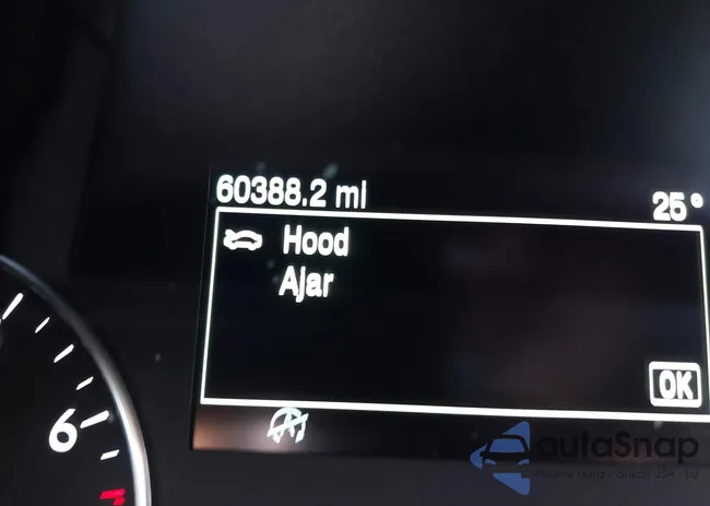 MAJ6P1WL8JC172117: 38172725