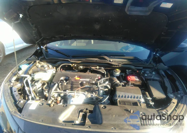 2HGFC2F84LH532752: 38182490