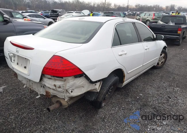 1HGCM56877A096484: 38199162