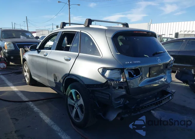 WDC0G4JB2HF143117: 38200698