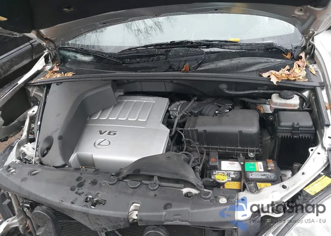 JTJGK31U870009080: 38199951