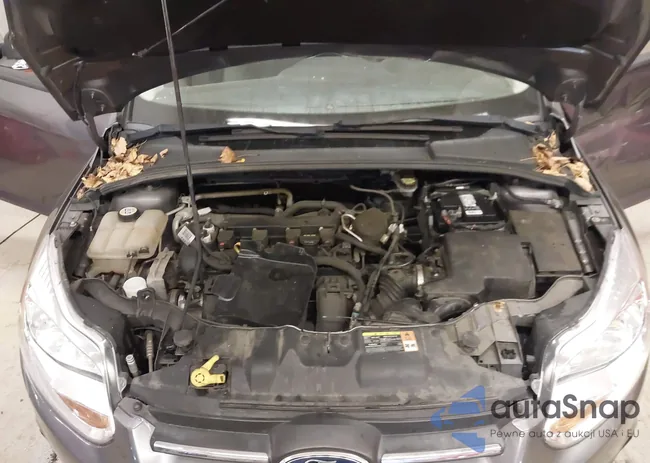 1FADP3E29DL243678: 38203435