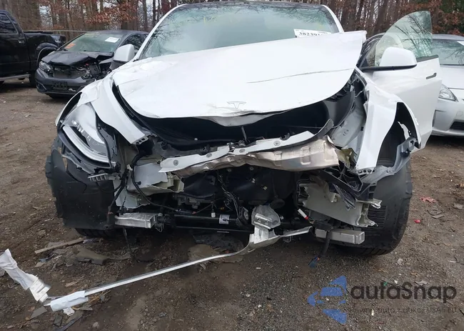 7SAYGDEE7NF369007: 38239101