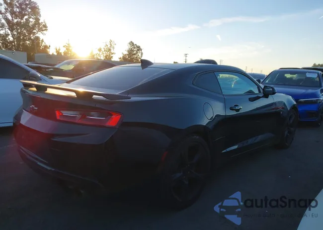 1G1FF1R73H0196339: 38243987