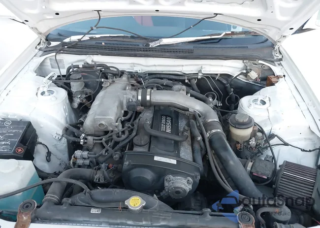 ECR33062590: 38308385