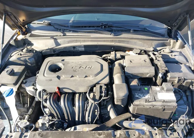 5XXGT4L33KG302483: 38312096