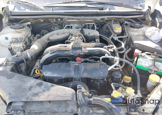 JF2GPACC9E8291923: 38312193