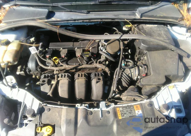 1FADP3F23EL316267: 38333814