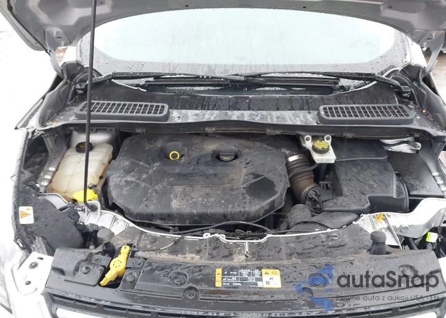 1FMCU9J98GUB12238: 38335901