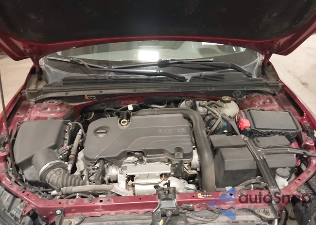 1G1ZD5ST8KF227204: 38339499