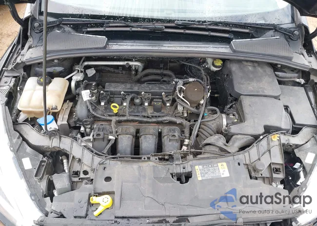 1FADP3F22GL274239: 38350429