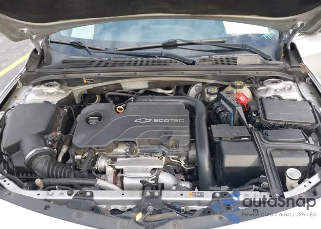 1G1ZE5ST7HF157989: 38384810