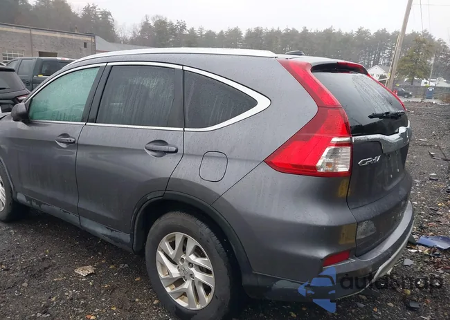 2HKRM4H79FH647304: 38387651