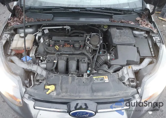 1FADP3J25DL265196: 38448107