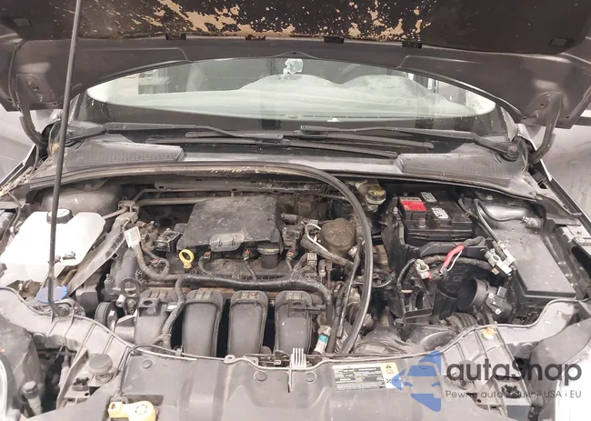 1FADP3F2XEL219311: 38452833