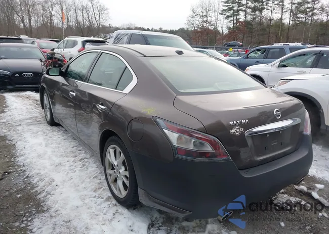 1N4AA5AP3DC811294: 38475963