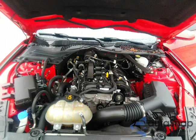 1FATP8UH7M5104653: 38492317