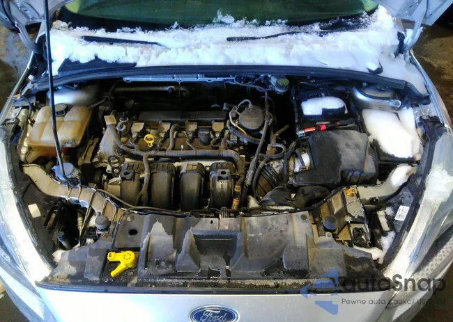 1FADP3F2XGL306175: 38513375