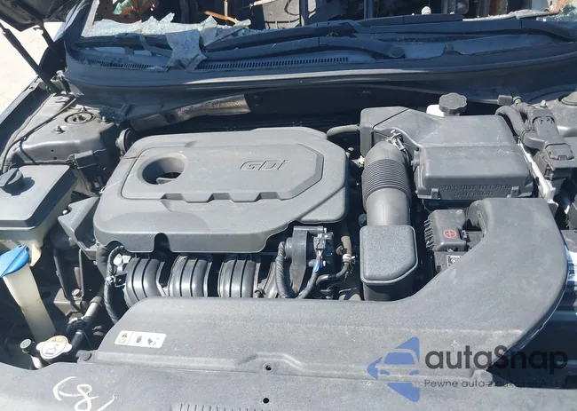 5NPE24AF9HH558146: 37553902