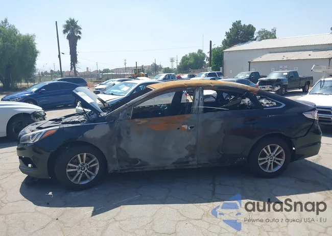 5NPE24AF9HH558146: 37553902