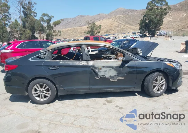 5NPE24AF9HH558146: 37553902