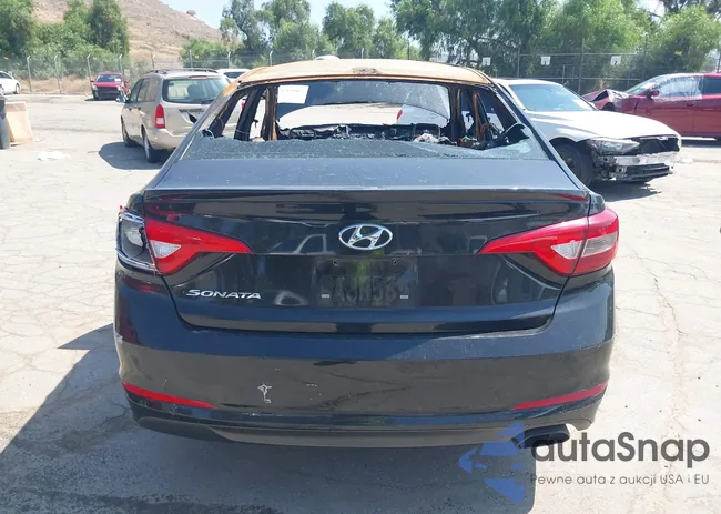 5NPE24AF9HH558146: 37553902