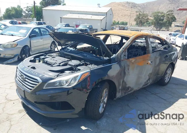 5NPE24AF9HH558146: 37553902