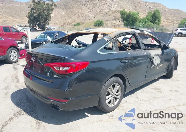 5NPE24AF9HH558146: 37553902