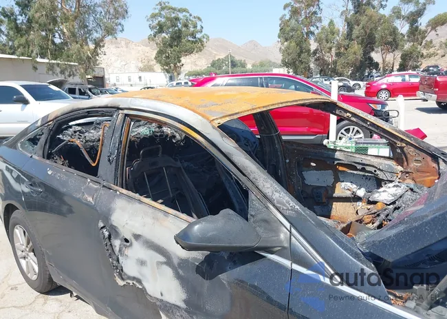 5NPE24AF9HH558146: 37553902