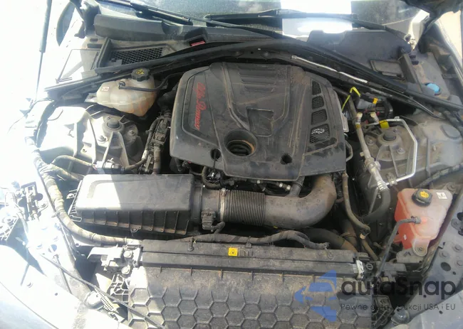 ZARFAMBN5L7636907: 37577899