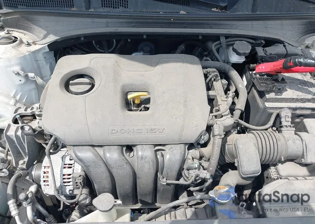 3KPF24AD9LE195881: 37605553