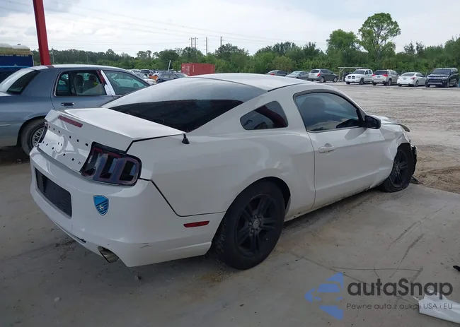 1ZVBP8AM0D5275913: 37621268