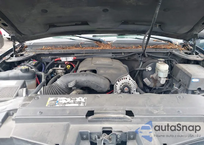 3GNEC12037G137995: 37637769