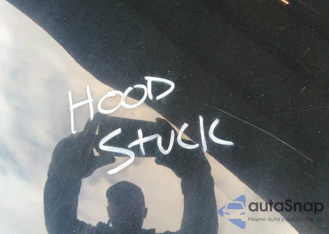 3VWRZ71K98M187850: 37680317