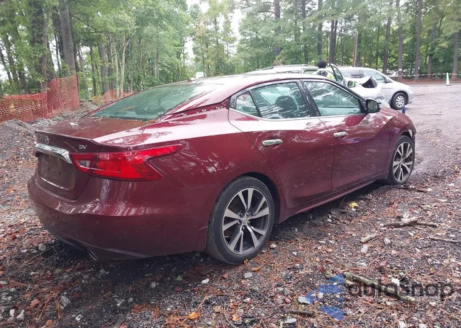 1N4AA6AP9HC388443: 37681061