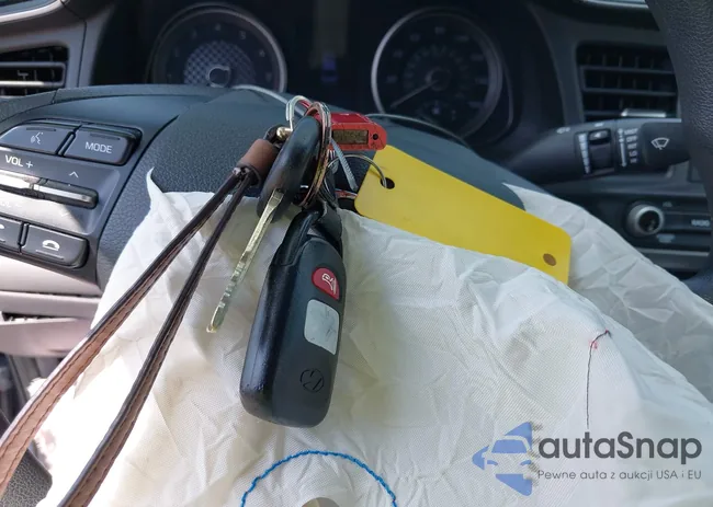 5NPD84LFXKH440220: 37696341