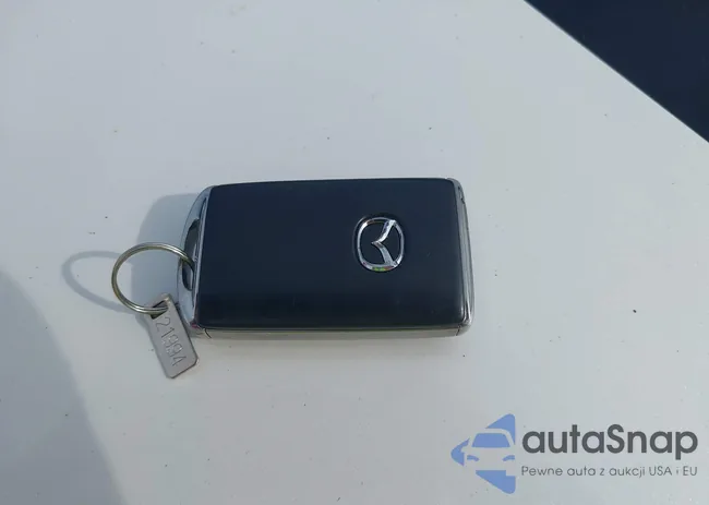 JM1BPAALXM1310871: 37763590