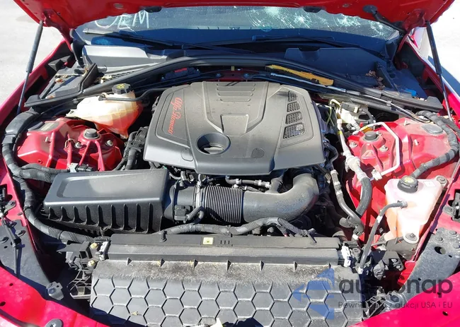 ZARFAMBN2K7601269: 37809103