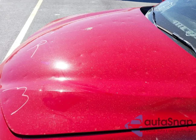 ZARFAMBN2K7601269: 37809103