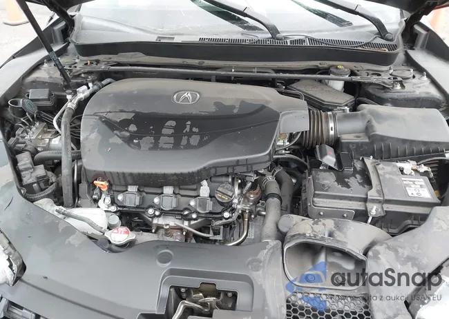 19UUB2F40KA010169: 37907918