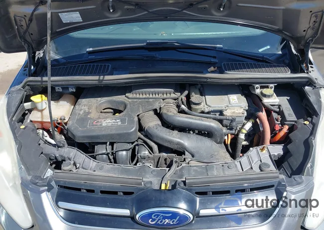 1FADP5CU1DL543795: 38983199