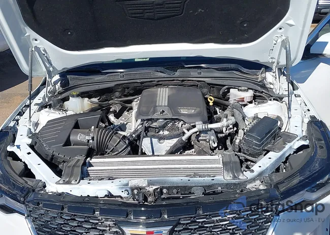 1G6DB5RK0M0113954: 38996936