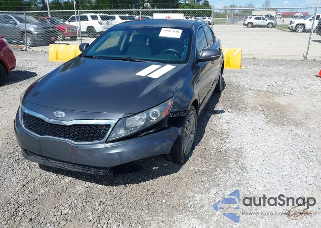 KNAGM4A79B5056916: 39007830