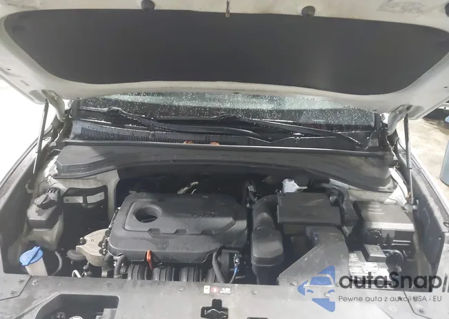 5NMS2CAD8LH169824: 39071132